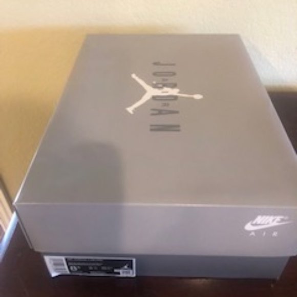 Jordan 11 Retro Cool Grey (2021)